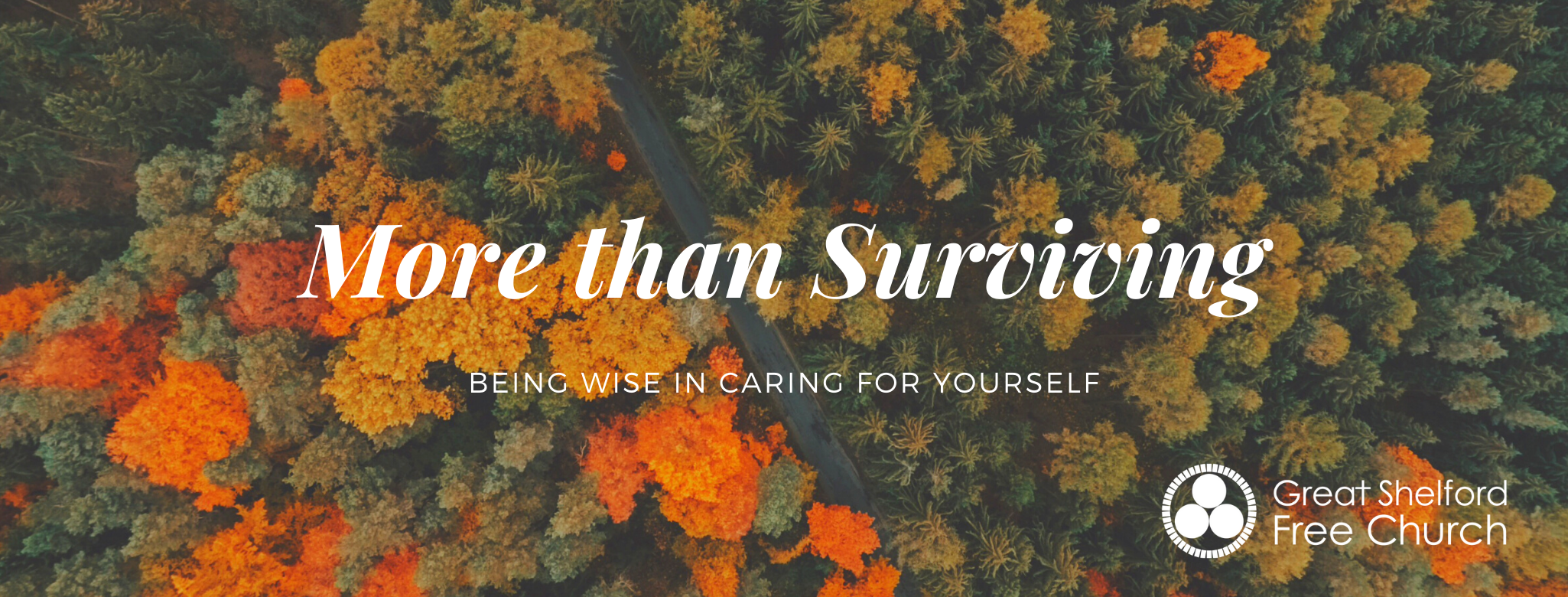 More than Surviving