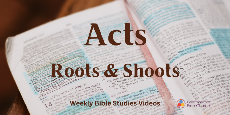 Roots and Shoots ACTS - 800 x 