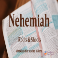Nehemiah (Session 10): Yo yo discipleship