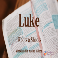 Who does Jesus think He is?