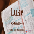 Luke: Session 18: Great Expectations