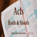 What does Jesus want me to do?